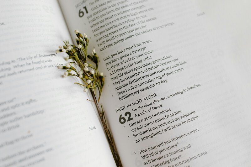 Open Bible with flowers laying inside the pages