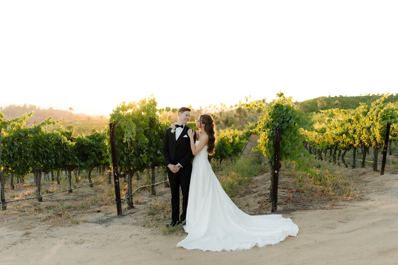 Falkner Winery Wedding Photos 142