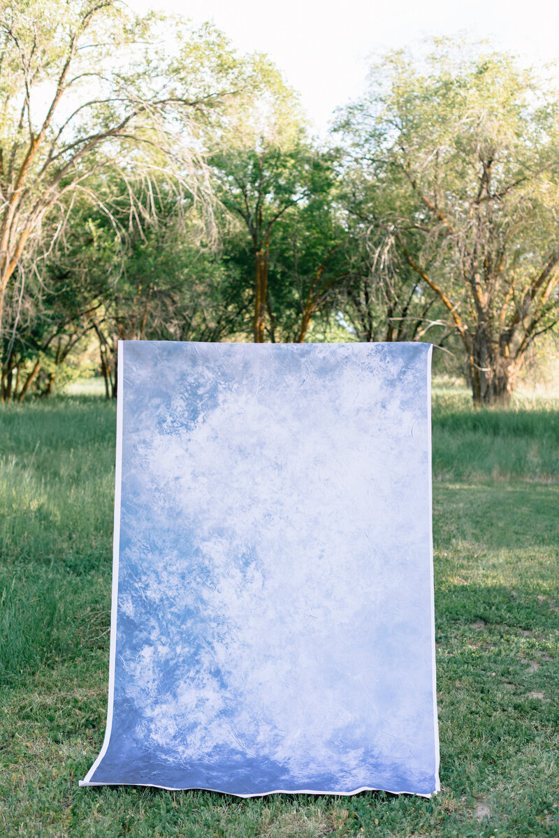 Backdrop-10
