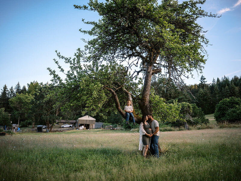 A boy sits in a tree while his parents kiss and the mom hold her pregnant belly, representing a featured picture gallery from the portraits portfolio. 