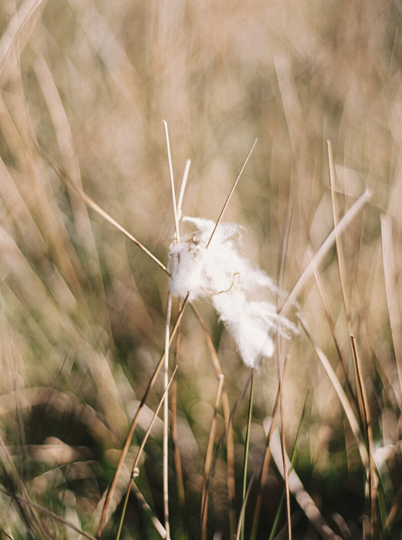 Dingle,Ireland,NordStories,SusannaNordvall,Fiadh,LifestyleBrandingShoot,(173)
