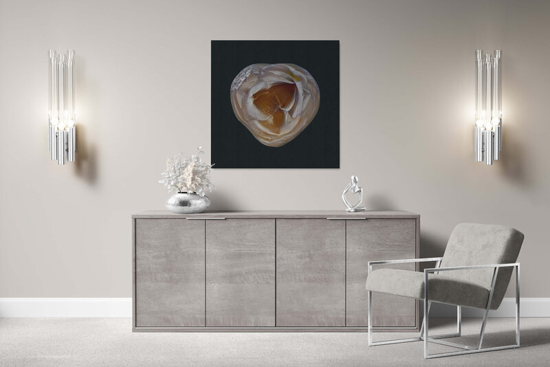 Fine Art Canvas featuring Project Stardust micrometeorite NMM 650 for luxury interior design