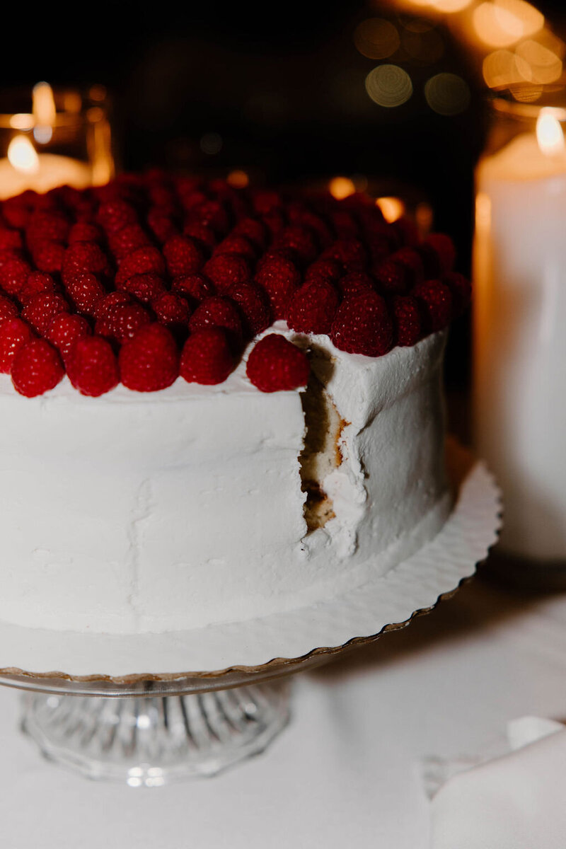 Indiana_Michigan_Wedding Planner_Ana Pierson Photography_Eagles Theatre_Wabash Indiana_Reception_Wedding Decor_The Wedding Cake