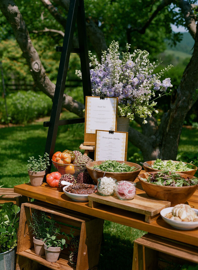 Special-Event-Planner-Glamping-Weekend-Virginia-000010910015