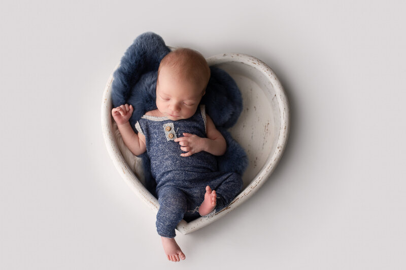 Fairfax newborn photographer, Alexandria Newborn Photographer