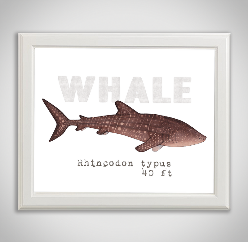 whale-framed