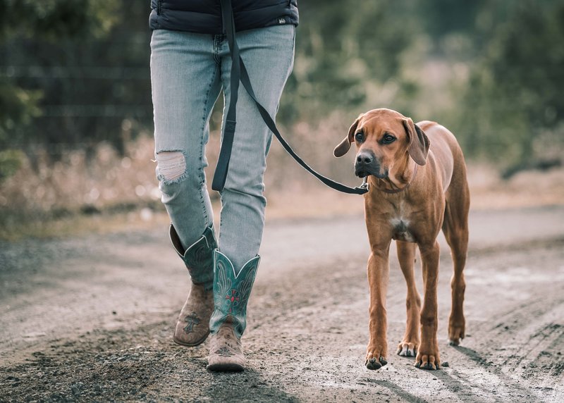 Spokane County Photographer with her Dog