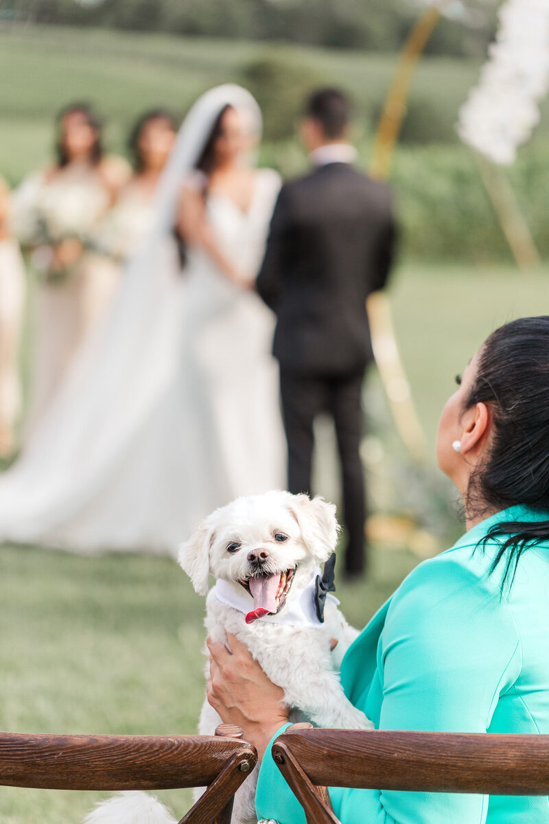 Stone Tower Winery Wedding - Faraz and Nikta-12