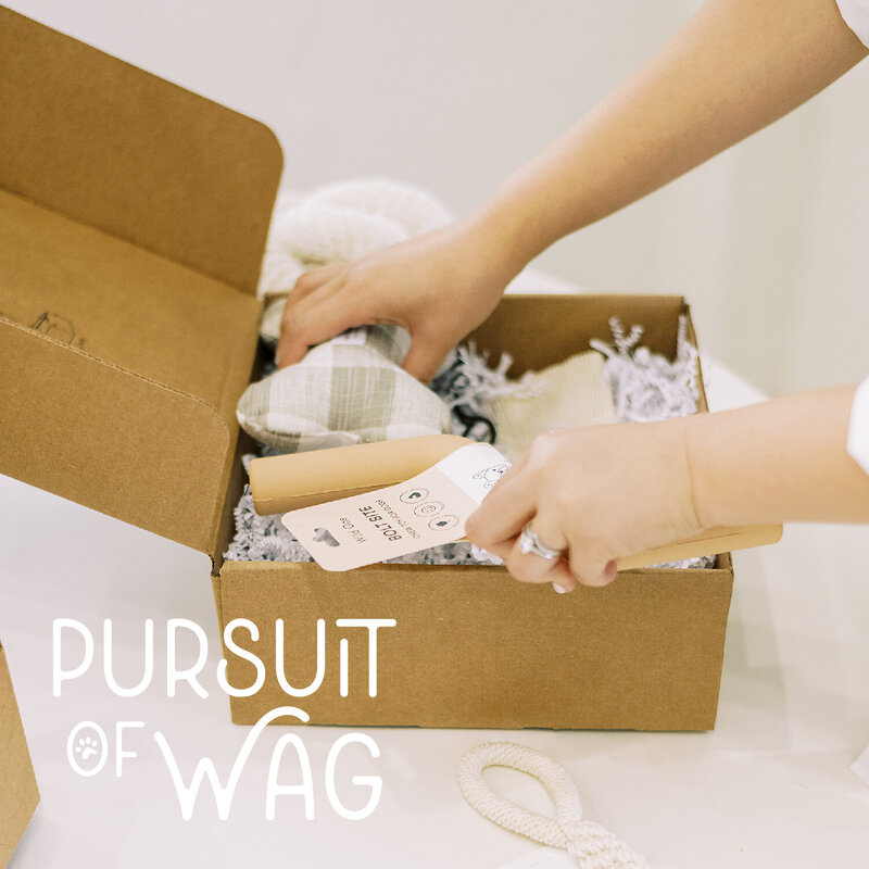 Brand Launch- Pursuit of Wag FEED-12