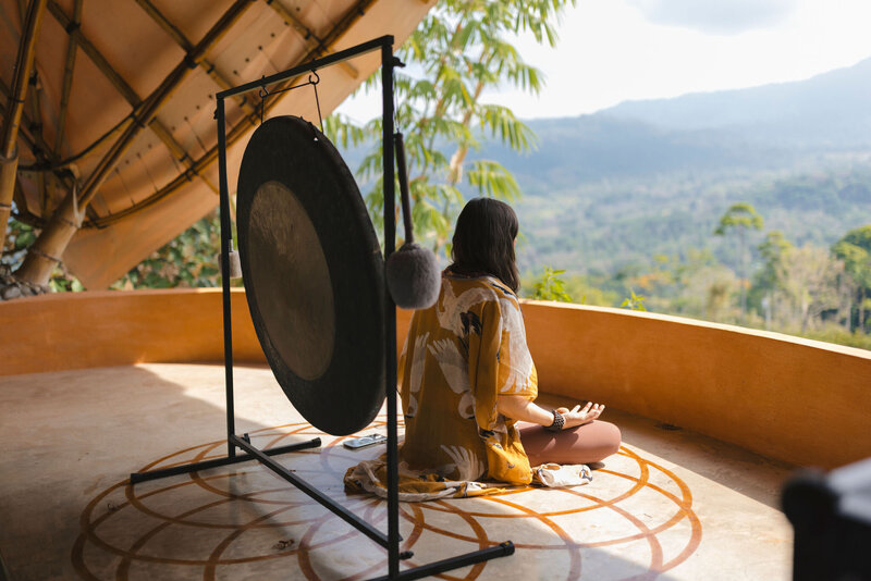 Healing Psychedelic Medicine Marin County