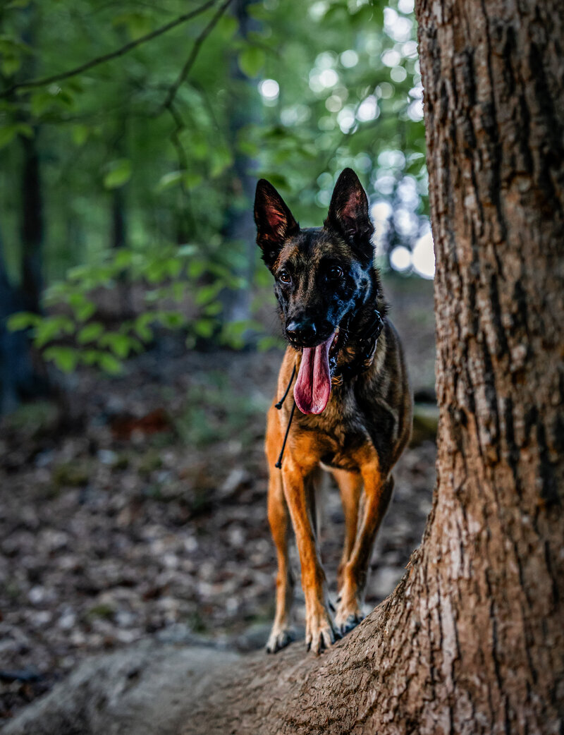 0T7A8955-Edit