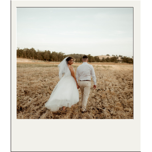 south-west-collie-wedding-photographer (1)