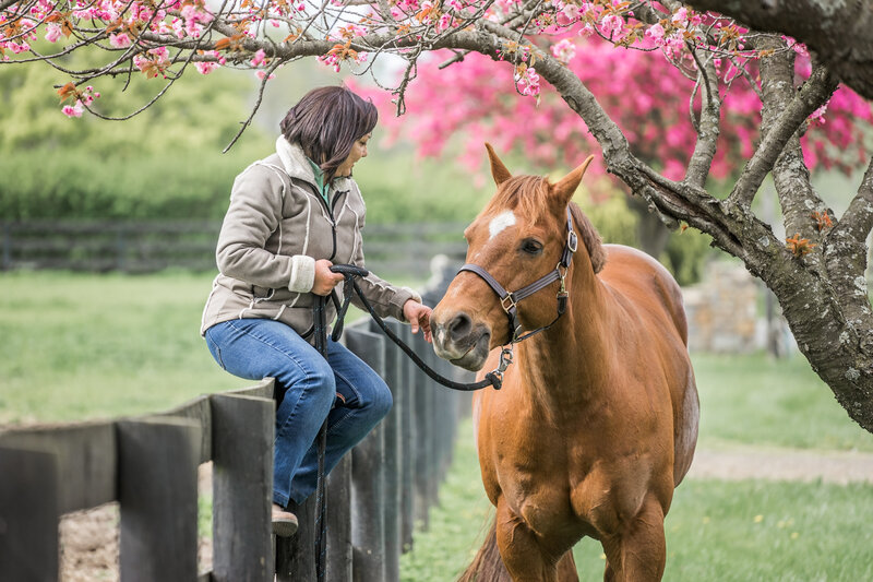 Equestrian-92