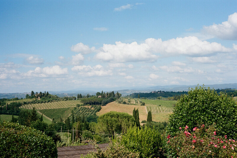 _RachaelReidPhotography_filmexamples-2