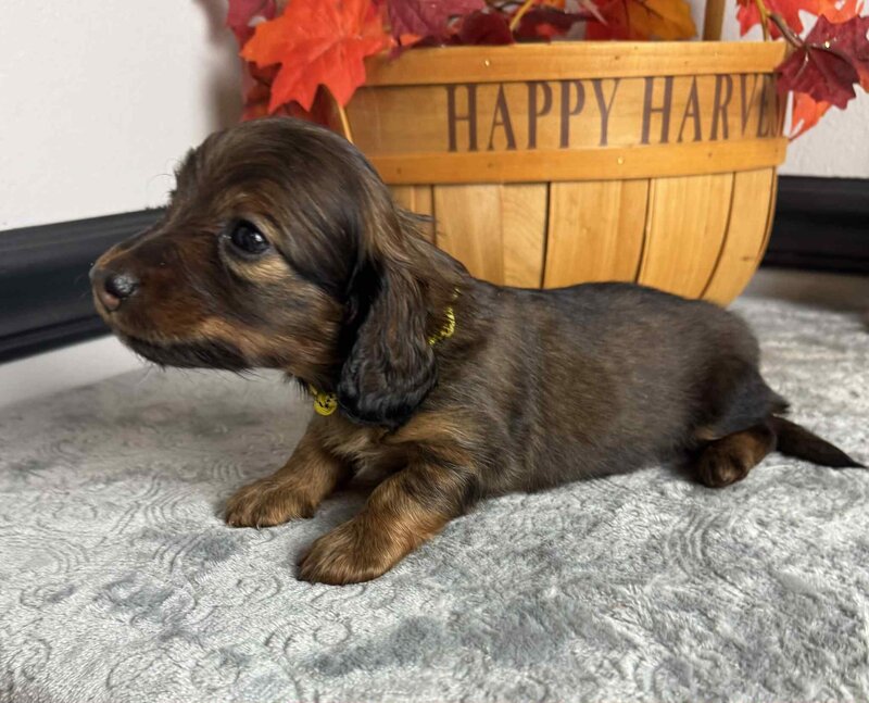 864ad674-2ffd-4b53-953e-8fa0e5e9143c (1)