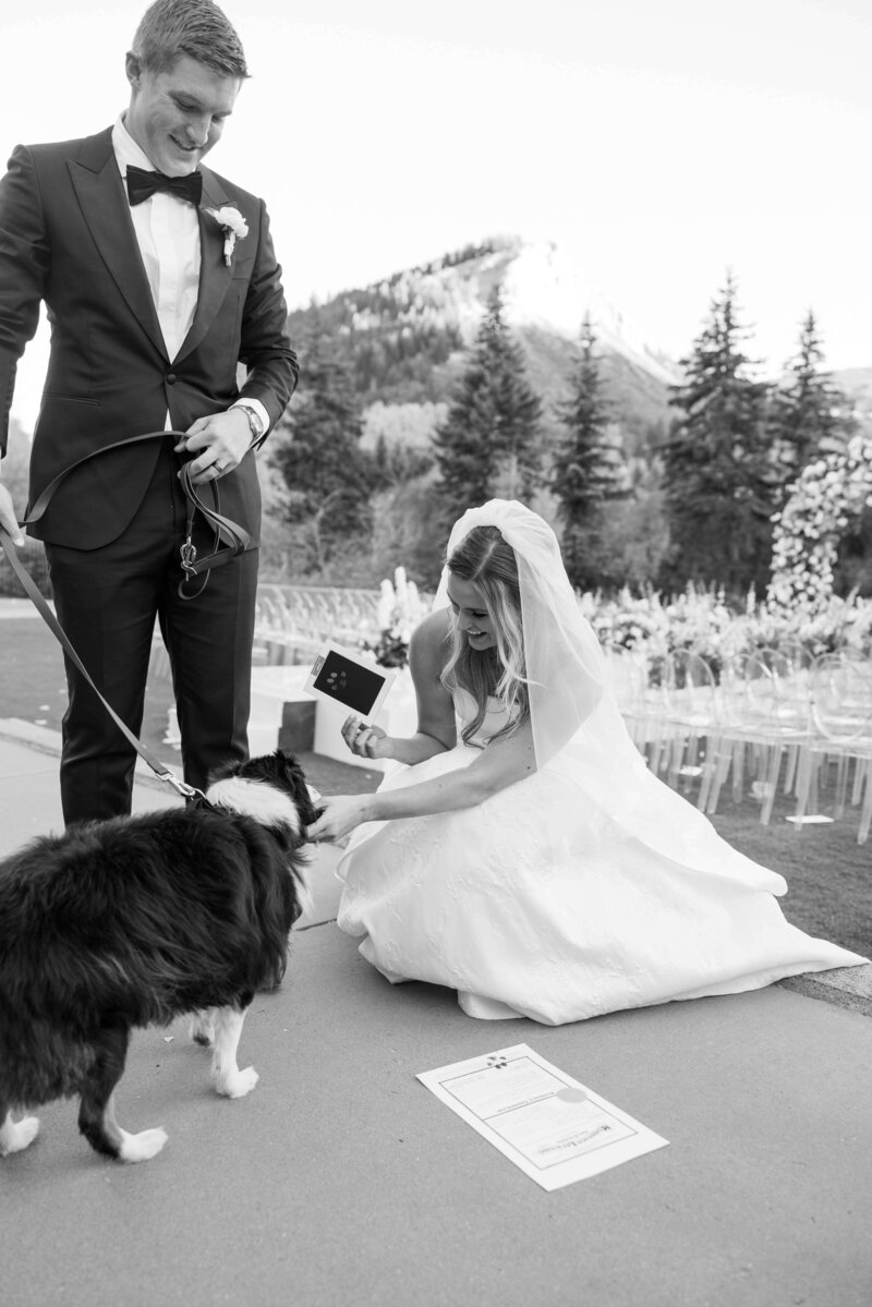 Dog serves as the official wedding witness by signing the marriage license at a Colorado mountain wedding.