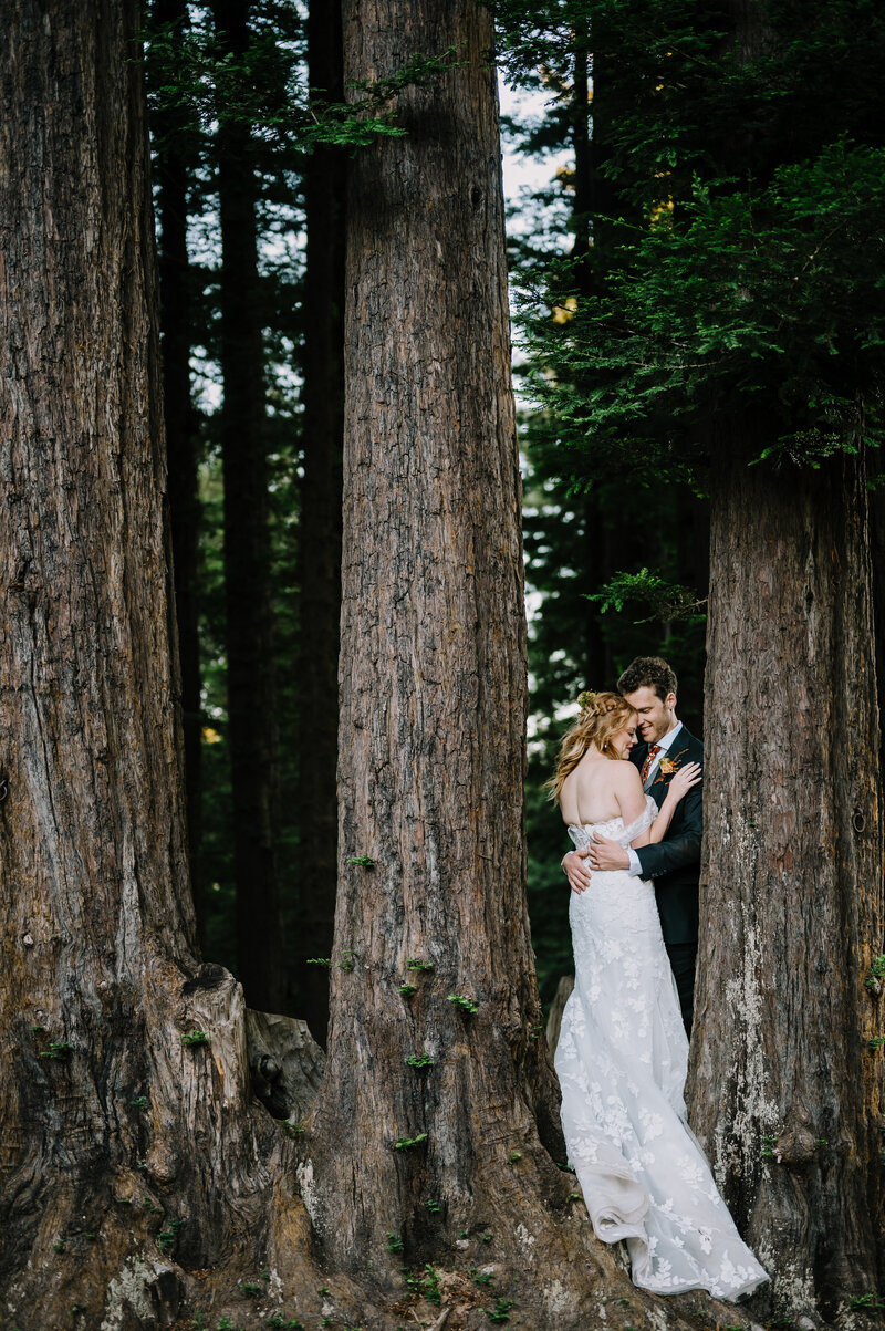 bride and groom standing between trees in the forest