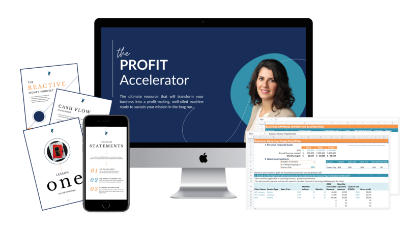 The Profit Accelerator collage of templates, spreadsheets, PDFs illustrated on desktop and mobile versions