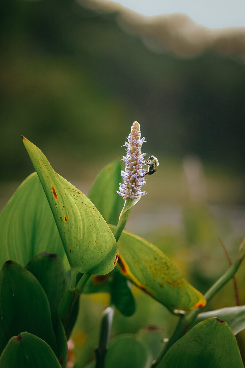 Outdoor-05