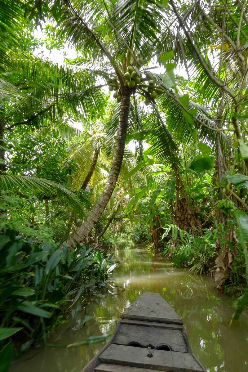The front of a sampan gliding through a narrow canal and surrounded by green palm trees and vegetation in Vientam's Mekong Delta ©Stephanie Dosch | theViatrix Luxury Travel
