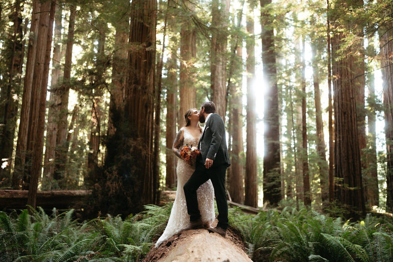 Elopement Photo Ideas | Eloping couple kisses on top of a log with redwood forest behind them