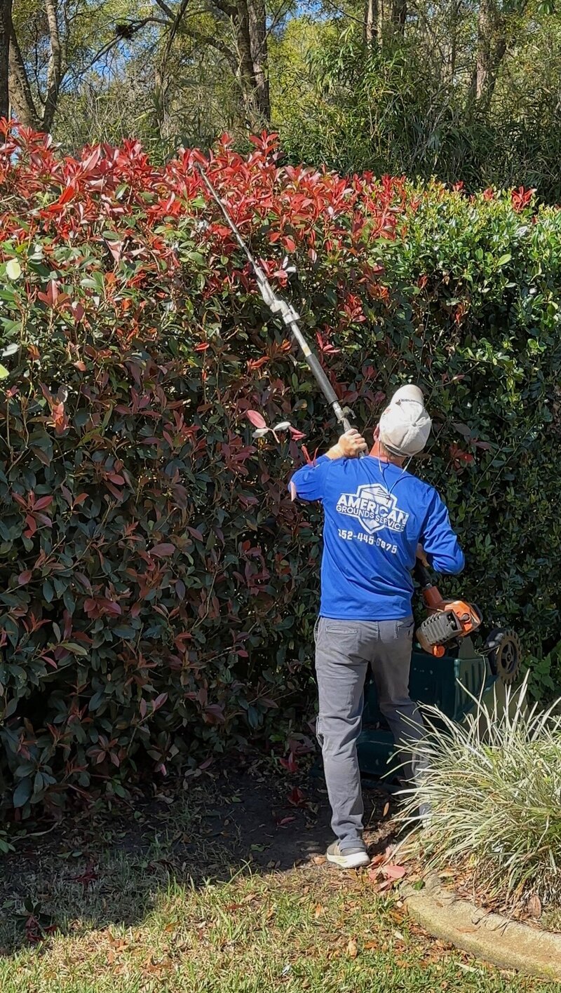 American Grounds Service provides reliable and professional lawn care service and landscaping maintenance in the Dunnellon Florida area.