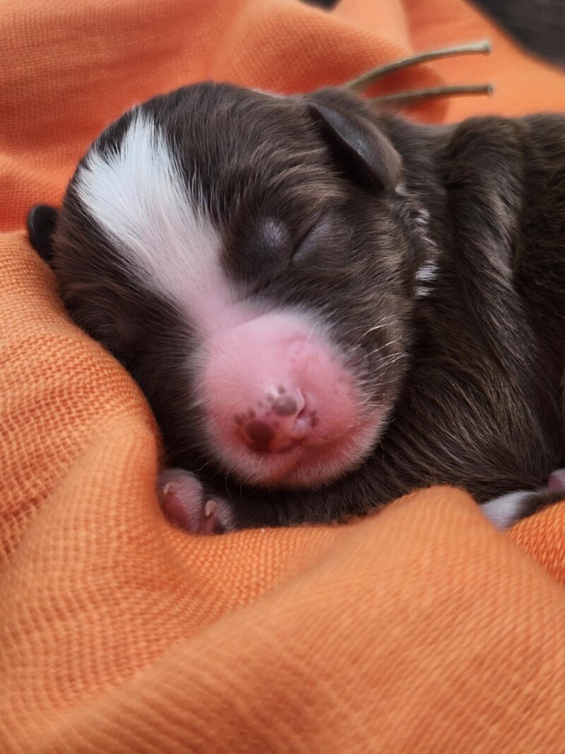 fa4143d0-544b-4084-abb8-c9d4a8911348