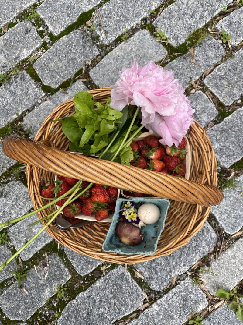 Leila Zayed - Garden Basket