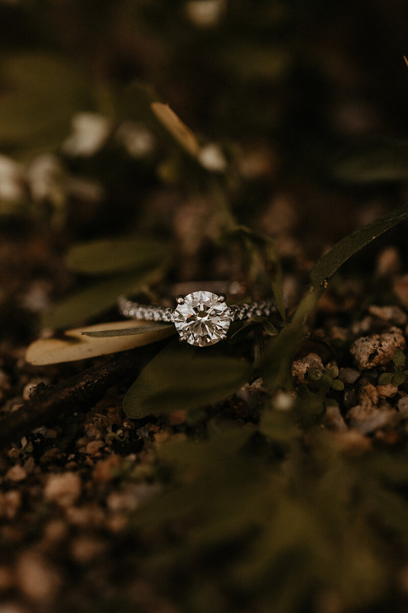 Alyssa_Bobby_Engagement_Session_9.30.20-157