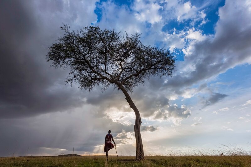 Tanzania Safari  (11)