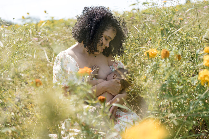 Shannon-Portfolio-Sunflowers-17