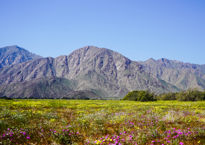 Conservation Easement Rights in Central California