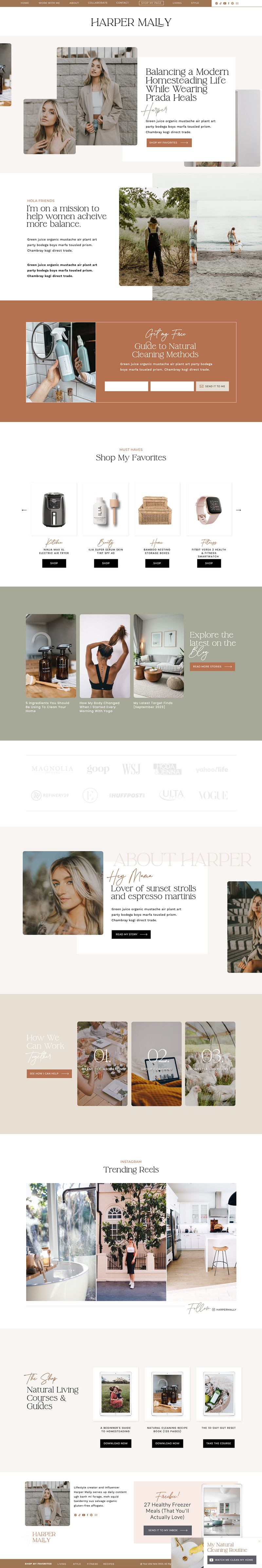 Affordable and easy to install premade Showit website template