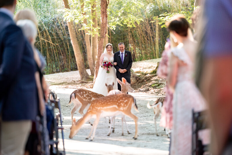 Allison-Kevin_WeddingPreviews_27