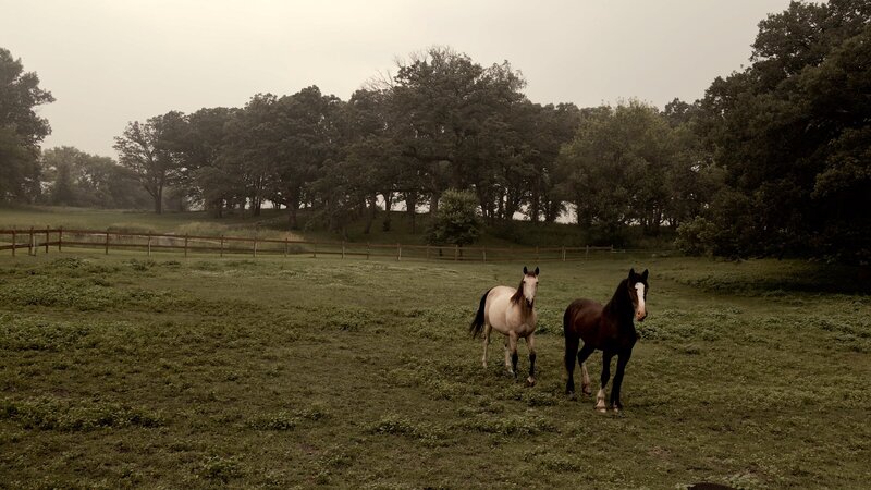 wedding videographer fargo nd