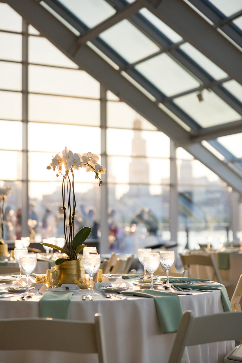 Ed and Aileen Photography Chicago Illinois Digital Film Wedding Engagement Photographers Destination 58