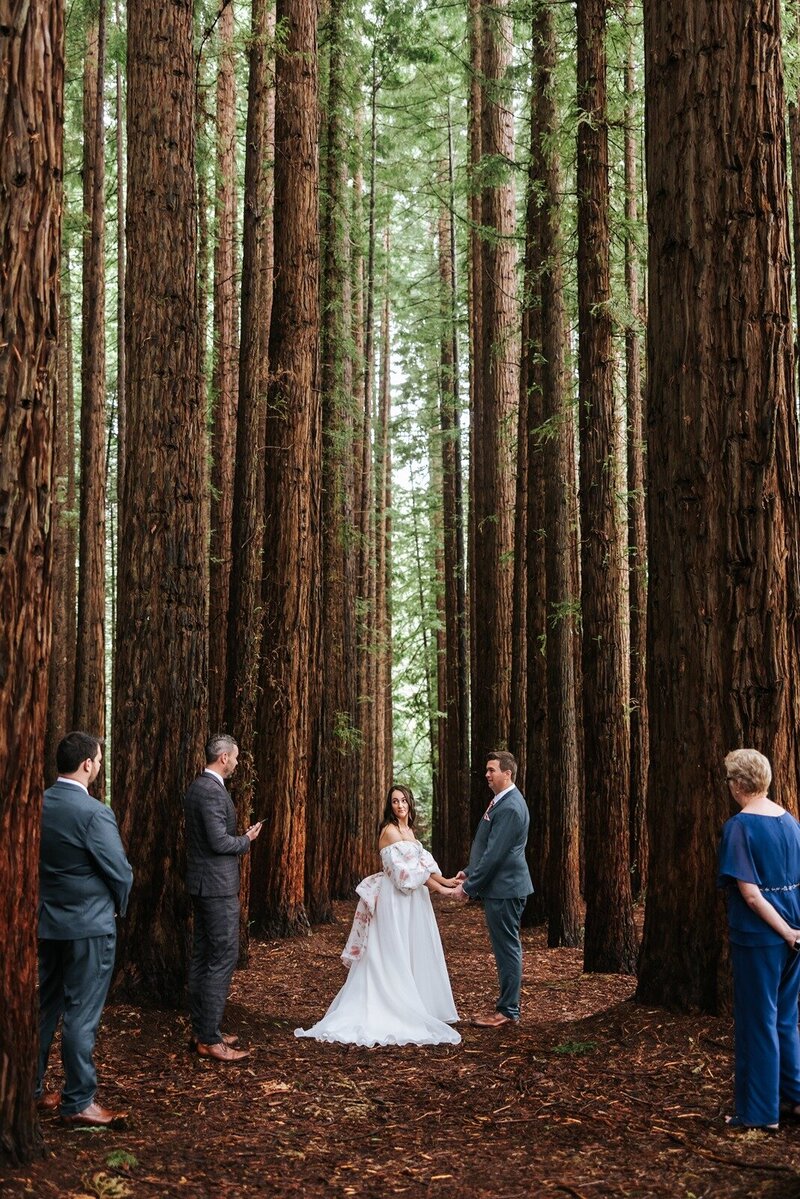 A bride and groom eloping in the Redwood Forest, Victoria