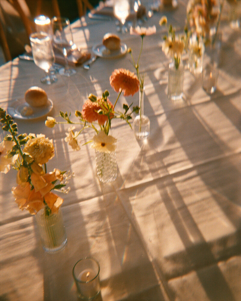 Guests mingling at cocktail hour at Curtis Arboretum