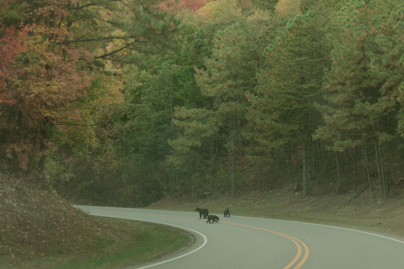 TN elopement photographer