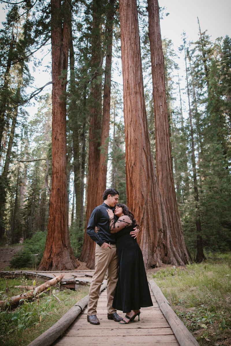 Sequoia National Park Engagement Photographer3516