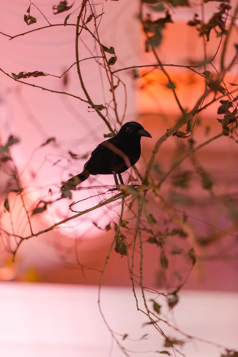 The-Grange-Community-Kitchen-Hamburg-NY-Halloween-Party-Buffalo-Bills-50