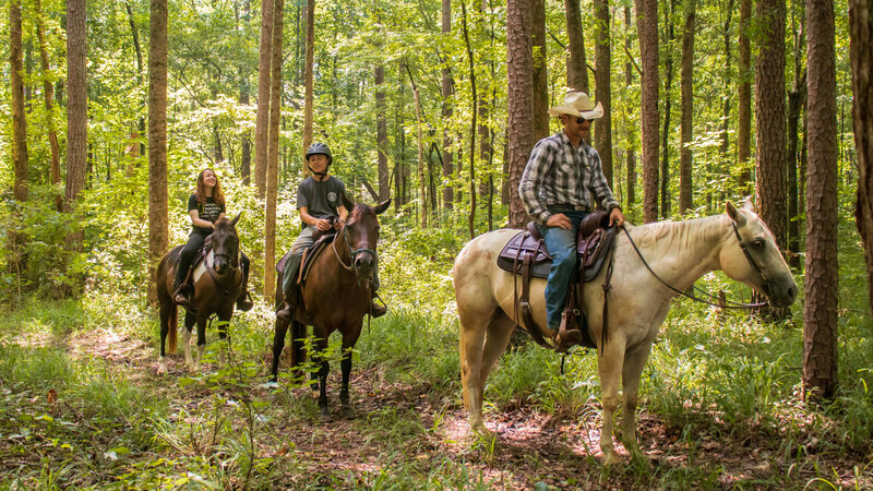 Horseback riding in North Georgia through trails and wooded ranges