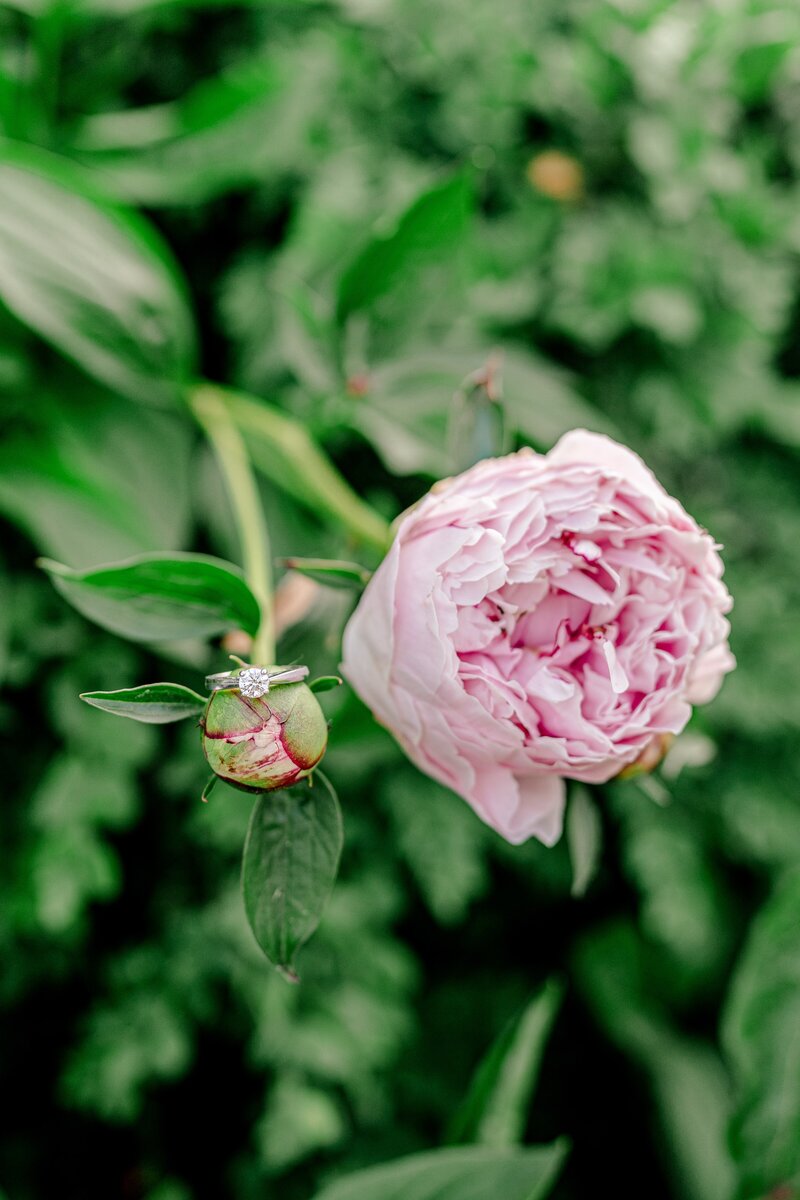 colorful-spring-garden-engagement-in-virginia-00015