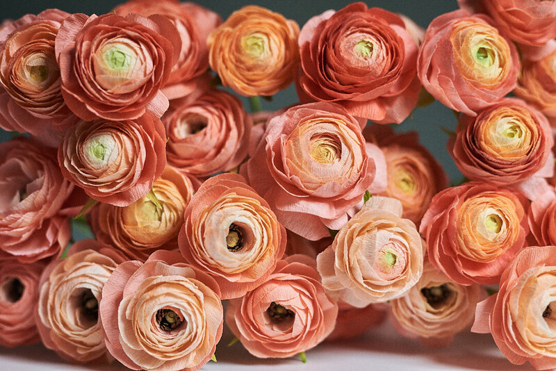 8D74BCDE-190B-4D10-91B7-2956B3E0FCDF