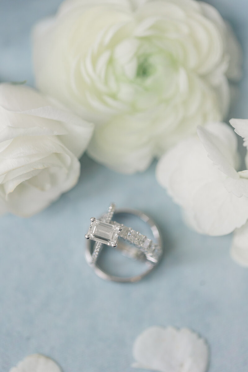 lauren_dylan_steed_wedding-8