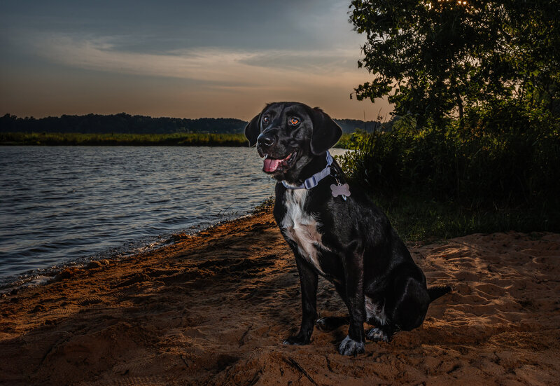 1C2A9259-Edit