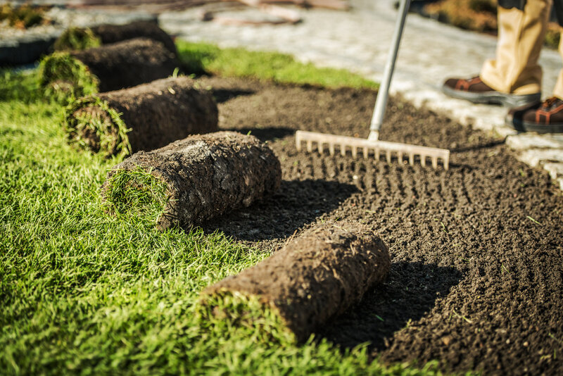 raking dirt before laying sod 