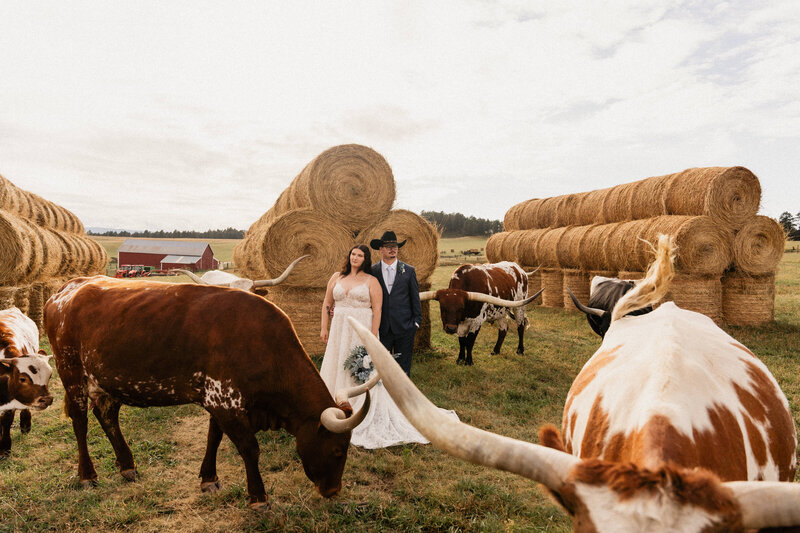 Colorado-Wedding-Photographer-Lo-Anderson-Photography-07615-2