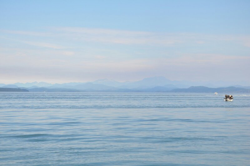 Curly-haired , middle-aged woman smiles off into the distant.