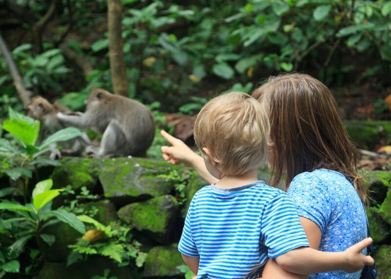 Indonesie-Bali-Ubud-Monkey-Forest-Aapjes